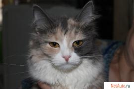 Королева красоты ищет дом!